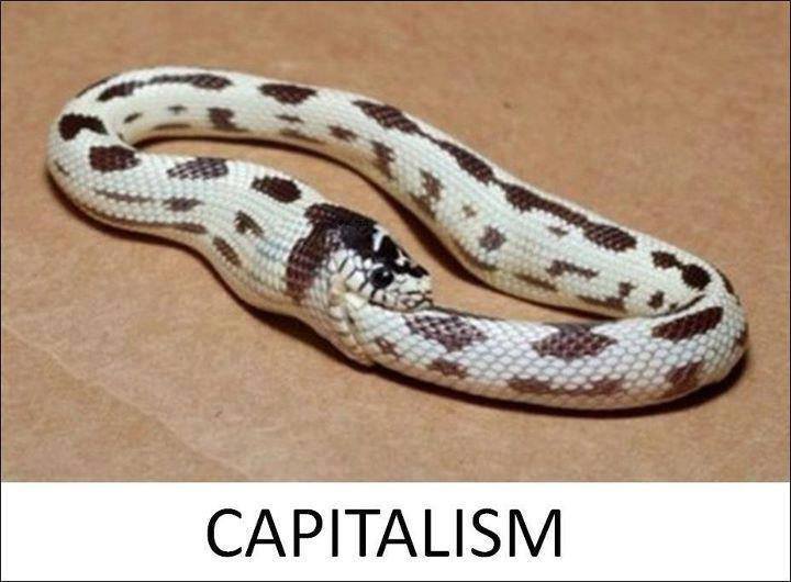 Capitalîzm