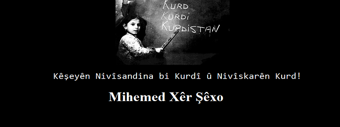Kêşeyên Nivîsandina bi Kurdî û Nivîskarên Kurd!