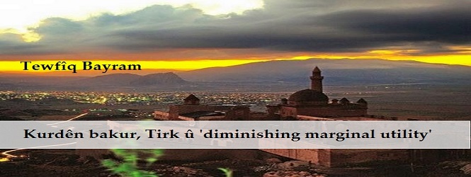 Kurdên Bakur, Tirk û ‘diminishing marginal utility’