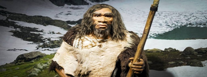 Jiyana Neanderthalerî